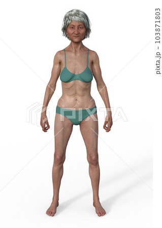 A 3D illustration of a female body showcasing - Stock Illustration  [103871801] - PIXTA