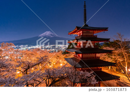 《山梨県》富士山と五重塔と満開の桜・春の新倉山浅間公園 《山梨県》富士山と五重塔と満開の桜・春の新倉山浅間公園 103871873
