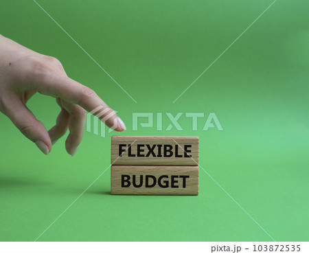 Flexible budget symbol. Concept words Flexible budget on wooden blocks. Beautiful green background. Businessman hand. Business and Flexible budget concept. Copy space. 103872535
