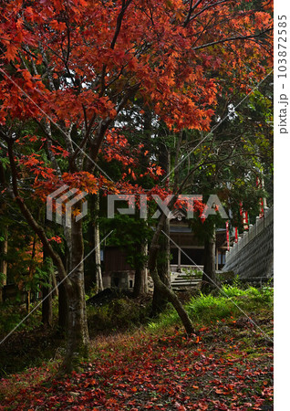 秋の首切地蔵尊 103872585