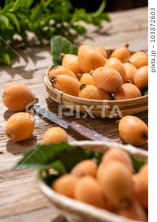 和歌山県産の新鮮な ビワ びわ 枇杷 和歌山県産の新鮮な ビワ びわ 枇杷 103872603