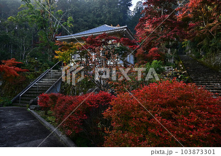 秋の常勝寺 103873301