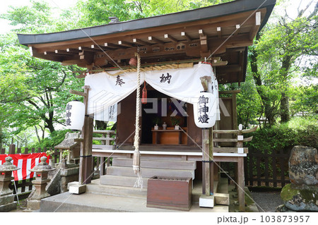 伊豆パノラマパーク(碧テラス)富士山 伊豆パノラマパーク(碧テラス)富士山 103873957