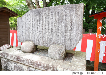 伊豆パノラマパーク(碧テラス)富士山 伊豆パノラマパーク(碧テラス)富士山 103873961