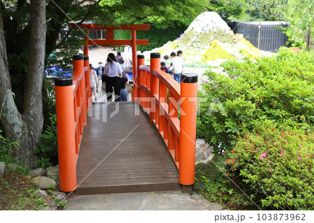伊豆パノラマパーク(碧テラス)富士山 伊豆パノラマパーク(碧テラス)富士山 103873962