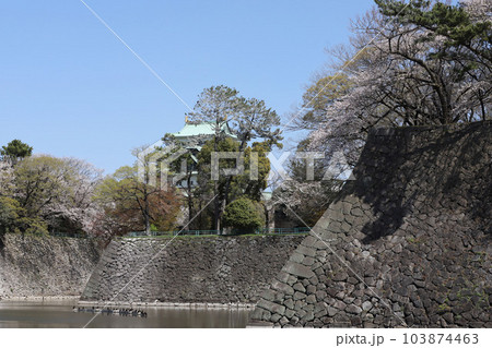 名古屋城 名城公園 桜 愛知県 名古屋城 名城公園 桜 愛知県 103874463