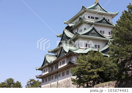 名古屋城 名城公園 桜 愛知県 名古屋城 名城公園 桜 愛知県 103874481