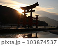 夕焼けに染まる宮島の大鳥居 103874537