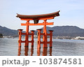 潮に浸る美しい大鳥居 103874581