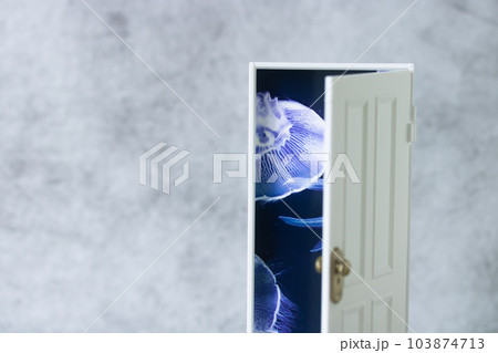扉を開けて別世界へ・海中 103874713