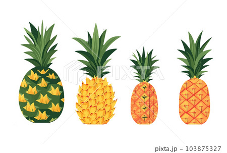set vector illustration of ripe pineapple isolated on white background 103875327
