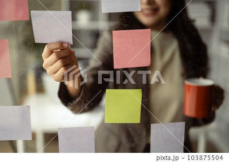 Smiling businesswoman executive manager reading sticky notes on transparent board, planning goals, manage corporate work tasks 103875504
