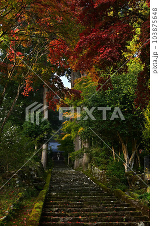 秋の常勝寺 秋の常勝寺 103875648