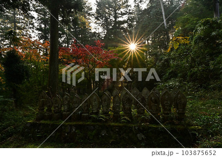 秋の常勝寺 103875652