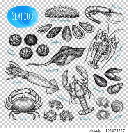Seafood ink sketch collection. Seafood ink sketch collection. 103875757