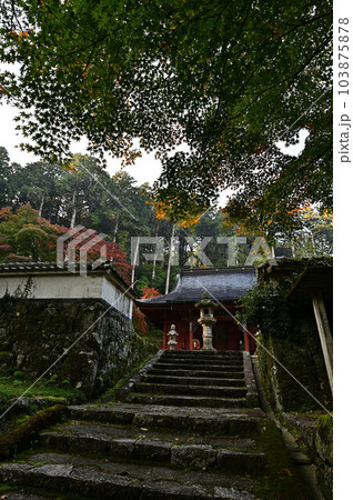 秋の常勝寺 103875878
