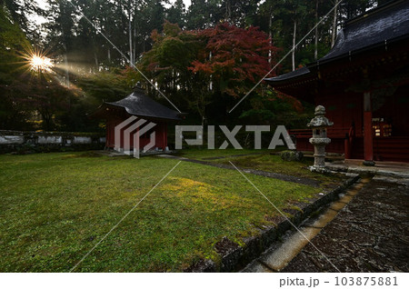 秋の常勝寺 103875881