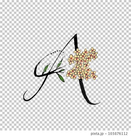 裝飾字母 A 裝飾字母 A 103876112