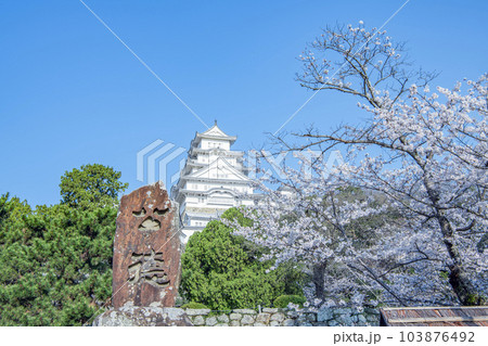 兵庫県姫路市　快晴の空に桜が映える春の姫路城　公徳の碑と姫路城天守 103876492
