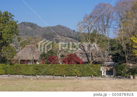 落柿舎 向井去来遺跡 秋の京都嵯峨野 京都観光人気スポット 落柿舎 向井去来遺跡 秋の京都嵯峨野 京都観光人気スポット 103876928
