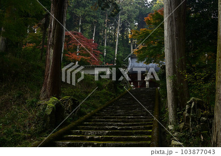 秋の常勝寺 秋の常勝寺 103877043