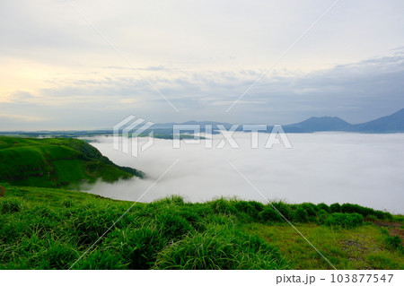 朝霧に包まれた大観峰 朝霧に包まれた大観峰 103877547