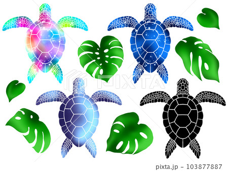 ウミガメ 海亀 モンステラ 南国 トロピカルのイラスト素材 [103877887