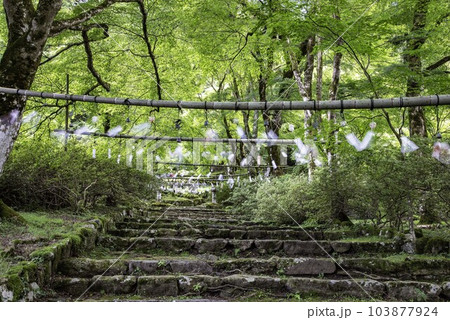 高源寺参道「風のおもてなし」ゆるりとお参り 103877924