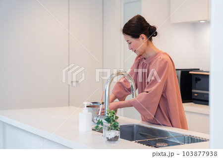 キッチンで料理をするシニアの女性 キッチンで料理をするシニアの女性 103877938