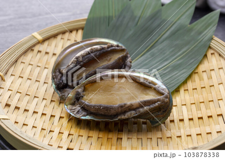 ザルの上に置いた新鮮で美味しい鮑 ザルの上に置いた新鮮で美味しい鮑 103878338