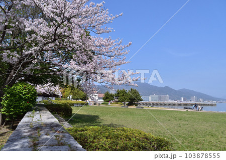 大津湖岸なぎさ公園・三思の磐付近と桜 大津湖岸なぎさ公園・三思の磐付近と桜 103878555