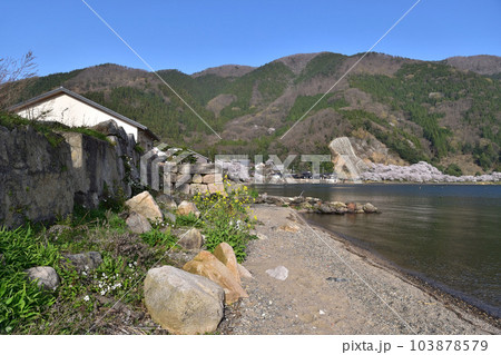 高島市・海津の石積みと海津大崎の桜 高島市・海津の石積みと海津大崎の桜 103878579