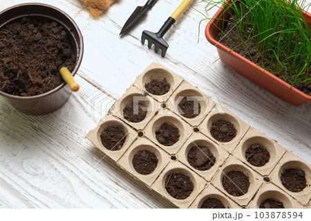Gardener planting flowers. Female Hands Working with Soil, Natural Small Pots. Fertility. Caring House Plants. Top View. Person Sowing Seeds in Germination Boxes. Growing Seedlings at Home in Spring Gardener planting flowers. Female Hands Working with Soil, Natural Small Pots. Fertility. Caring House Plants. Top View. Person Sowing Seeds in Germination Boxes. Growing Seedlings at Home in Spring 103878594