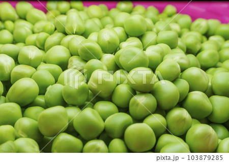 Bunch of Green peas closeup, Pisum sativum 103879285