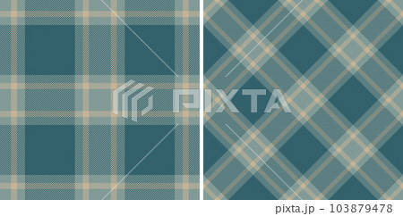 Vector plaid texture of background tartan check with a fabric seamless pattern textile. 103879478
