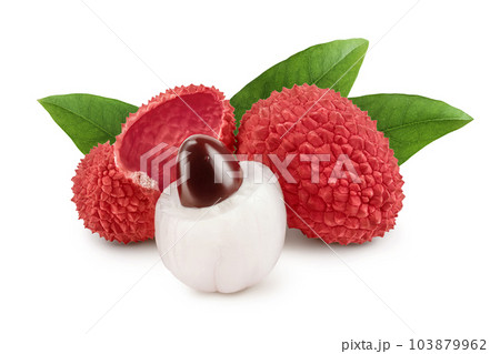 lychee fruit isolated on white background with full depth of field 103879962