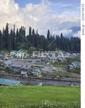 Town of Gulmarg with tall pine trees backdrop, Kashmir, India.. 103879970
