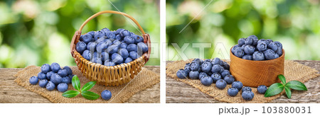 fresh ripe blueberry in wicker basket on the old wooden table with blurred garden background 103880031
