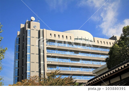 八尾市役所 103880391