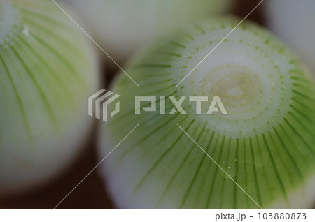 小粒のタマネギ　スープ用にたくさん皮をむきました 103880873