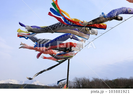 北海道増毛町暑寒別川河口付近の鯉のぼり 103881921