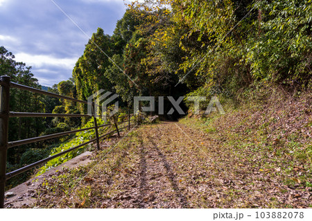 周辺風景 山道・林道に映える八角トンネル風景(観光スポット 八角トンネル 下益城郡美里町 ) 周辺風景 山道・林道に映える八角トンネル風景(観光スポット 八角トンネル 下益城郡美里町 ) 103882078