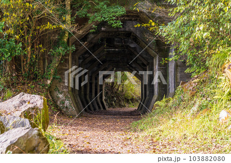山道・林道に映える八角トンネル風景(観光スポット　八角トンネル　下益城郡美里町　) 103882080