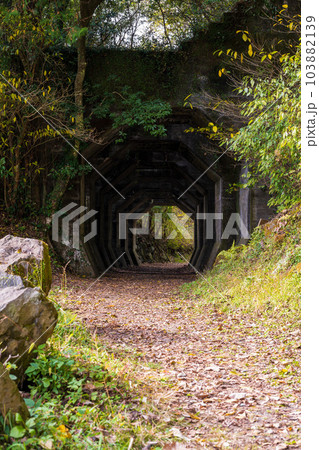 山道に映える八角トンネル風景　(観光スポット　八角トンネル　下益城郡美里町　) 103882139