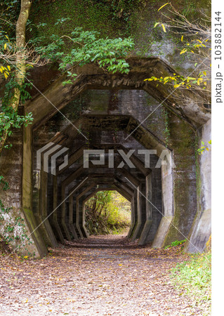 八角トンネル風景 (観光スポット 八角トンネル 下益城郡美里町 ) 八角トンネル風景 (観光スポット 八角トンネル 下益城郡美里町 ) 103882144
