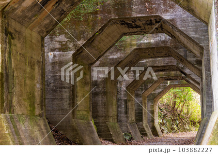 八角トンネル風景　(観光スポット　八角トンネル　下益城郡美里町　) 103882227
