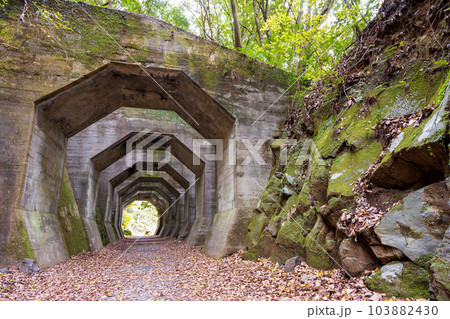 八角トンネル風景 (観光スポット 八角トンネル 下益城郡美里町 ) 八角トンネル風景 (観光スポット 八角トンネル 下益城郡美里町 ) 103882430