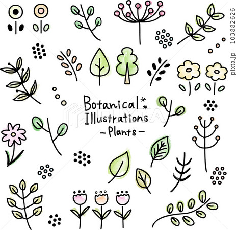植物のイラストセット 線画 水彩画風色付きのイラスト素材 [103882626
