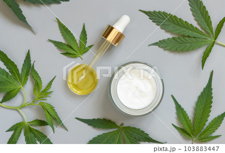 Pipette with oil and opened cream jar near green cannabis leaves on grey table top view Pipette with oil and opened cream jar near green cannabis leaves on grey table top view 103883447