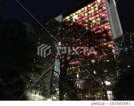 アメリカ テキサス州サンアントニオのリバーウォーク付近の夜景 アメリカ テキサス州サンアントニオのリバーウォーク付近の夜景 103883891